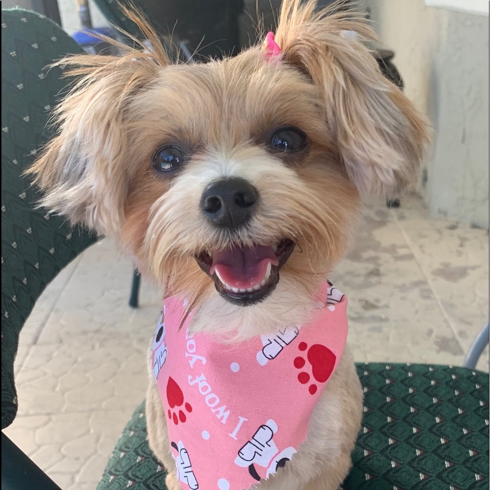 Meet your Posher, Dana